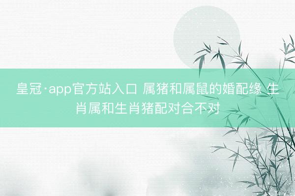 皇冠·app官方站入口 属猪和属鼠的婚配缘 生肖属和生肖猪配对合不对