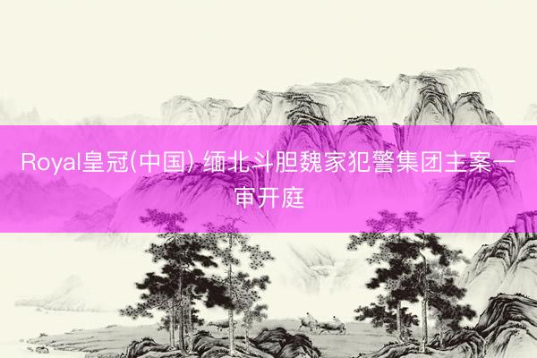Royal皇冠(中国) 缅北斗胆魏家犯警集团主案一审开庭