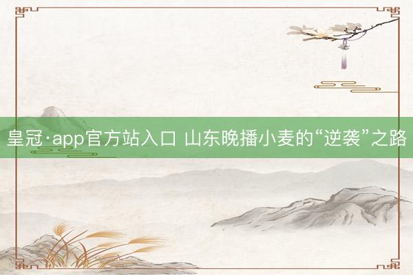 皇冠·app官方站入口 山东晚播小麦的“逆袭”之路