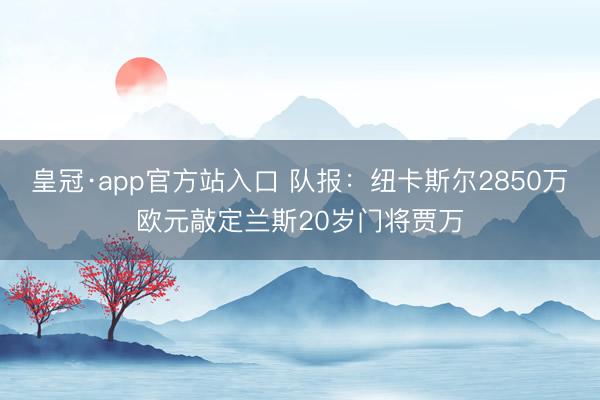 皇冠·app官方站入口 队报：纽卡斯尔2850万欧元敲定兰斯20岁门将贾万