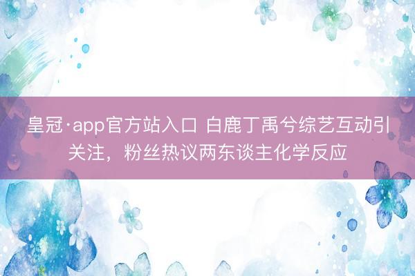 皇冠·app官方站入口 白鹿丁禹兮综艺互动引关注，粉丝热议两东谈主化学反应