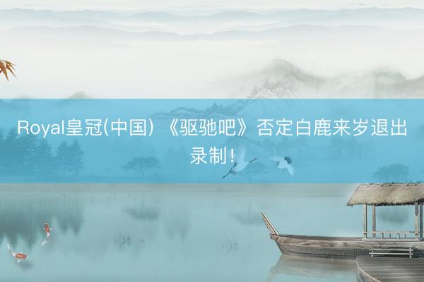 Royal皇冠(中国) 《驱驰吧》否定白鹿来岁退出录制！