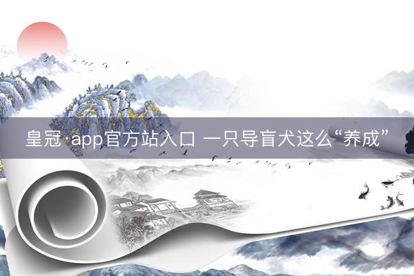 皇冠·app官方站入口 一只导盲犬这么“养成”